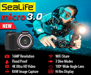 SeaLife Micro 3.0